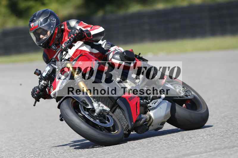/46 11.08.2025 PADDYS-RACES-DAYS ADR/Starter-Hobby/30